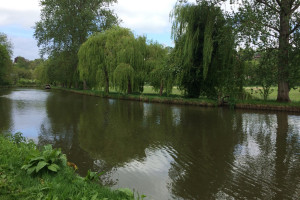 View of the Wey Navigation close to Guildford